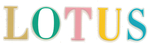 ロータスウエットスーツ