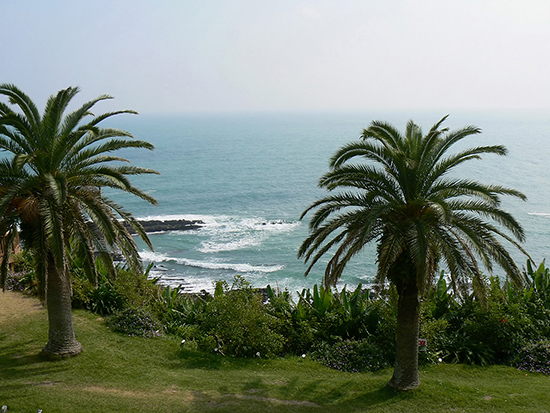 宮崎サーフトリップ